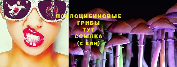 МДПВ Вязьма