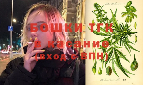 прущая мука Вяземский