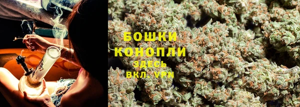 прущая мука Вяземский