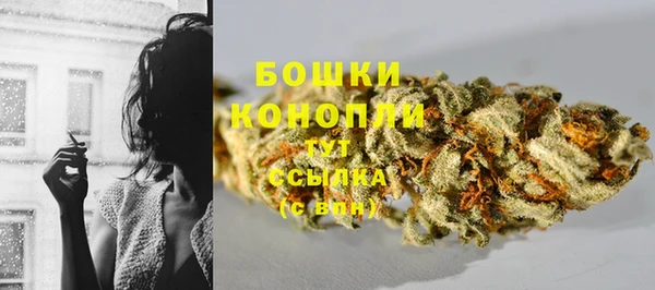 МДПВ Вязьма
