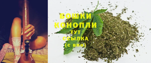 прущая мука Вяземский