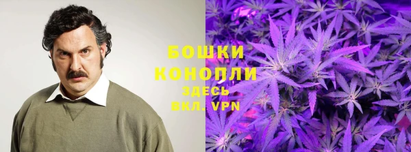 прущая мука Вяземский