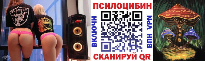 Псилоцибиновые грибы мицелий  Купить где  Татарск 